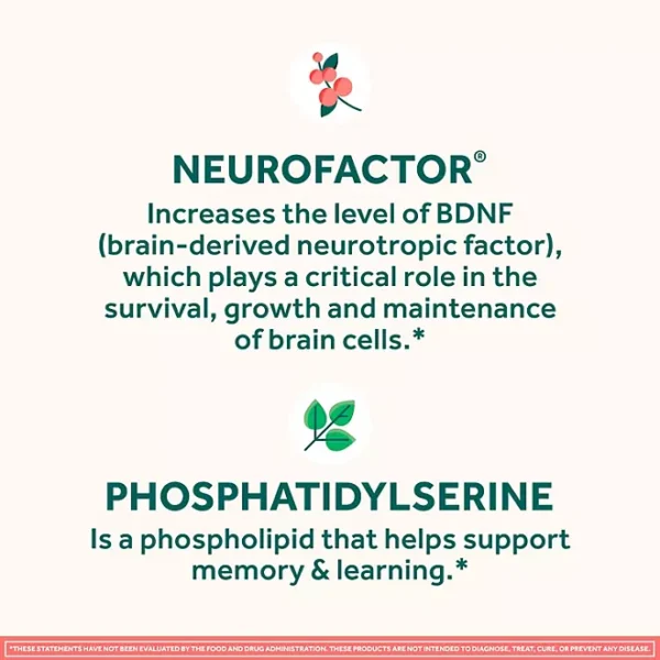 Neuriva Original Brain Health Supplement Capsules, 45 ct. - Image 3