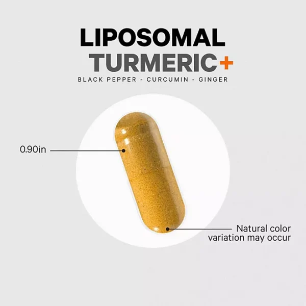 Codeage Liposomal Turmeric Curcumin Capsules, 240 ct. - Image 3
